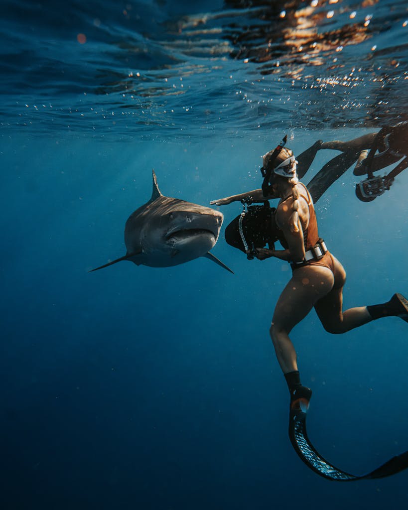 A female scuba diver swimming alongside a shark in the deep blue ocean.