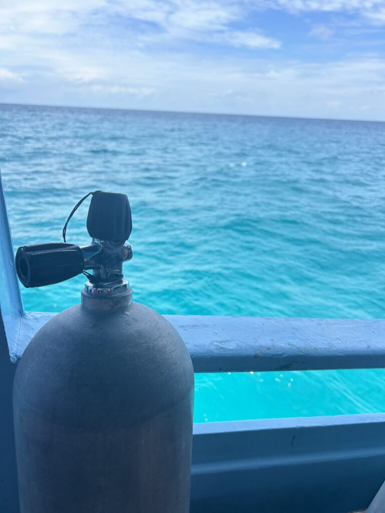 Dive Me Crazy: pet peeves from beneath the surface