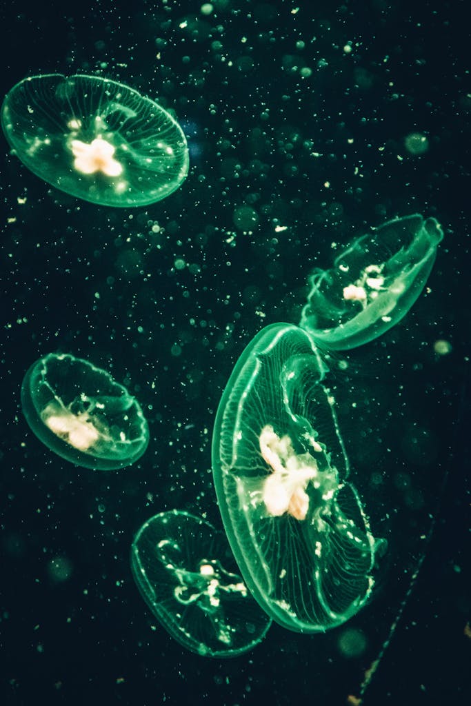 Vibrant green jellyfish illuminating the dark underwater environment with bioluminescence.