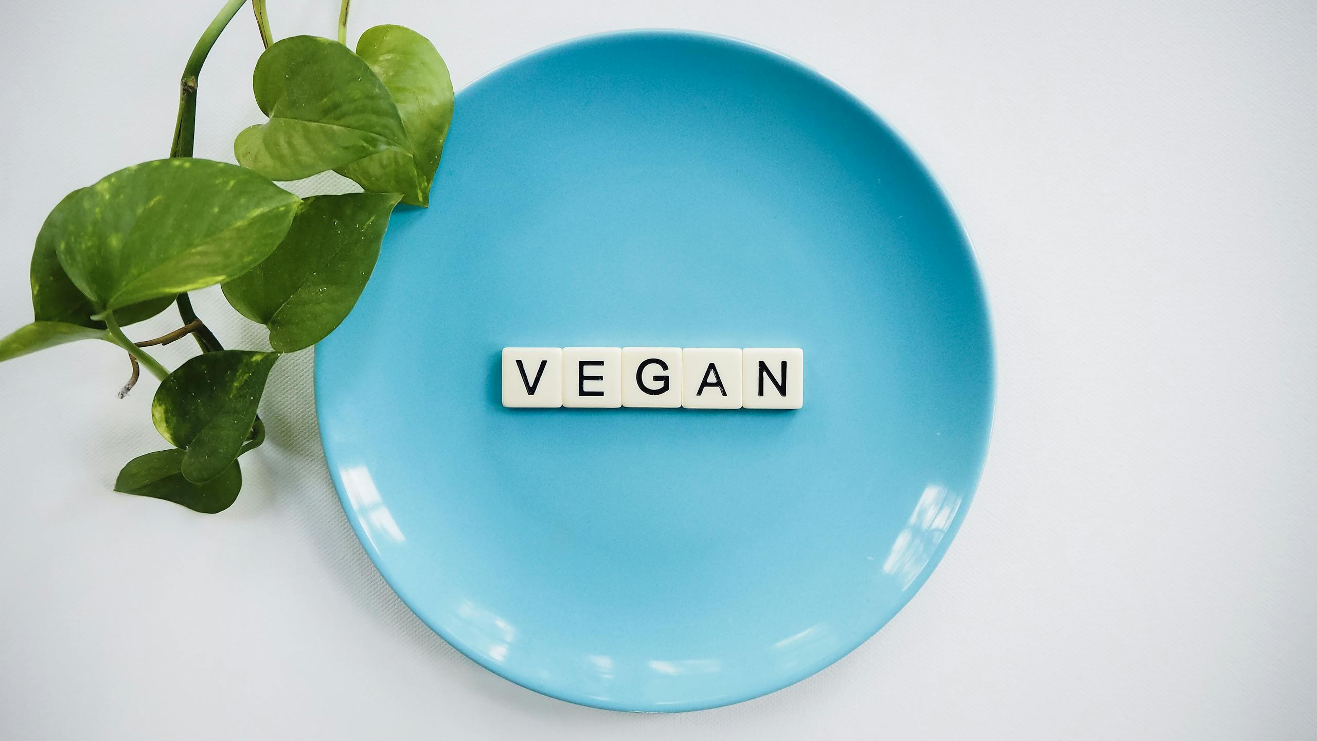 A blue plate with the word 'VEGAN' and a leafy plant, symbolizing a plant-based diet.